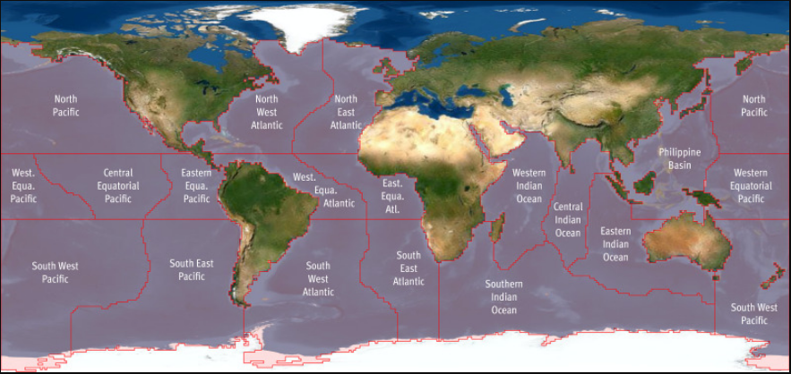 "Кислотна зона" океану стрімко збільшується: чим це небезпечно