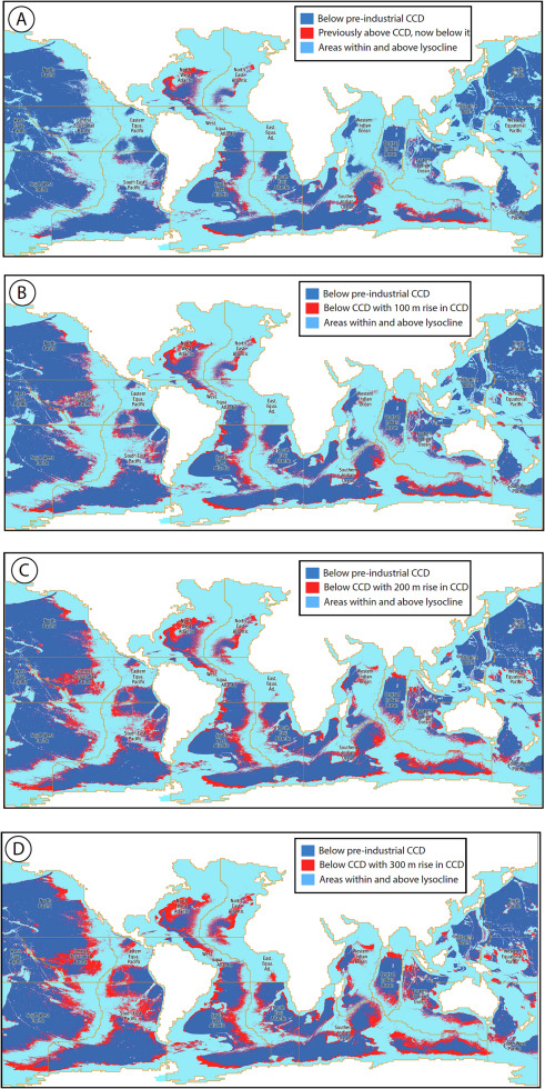 "Кислотна зона" океану стрімко збільшується: чим це небезпечно