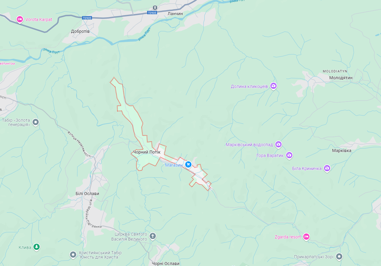 Искали с собаками. На Прикарпатье подросток провел почти сутки в лесу