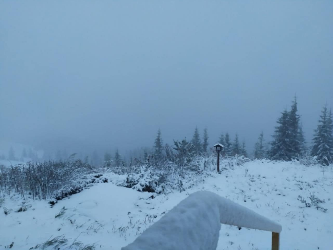 В Украине выпал первый снег: в сети показали фото и видео