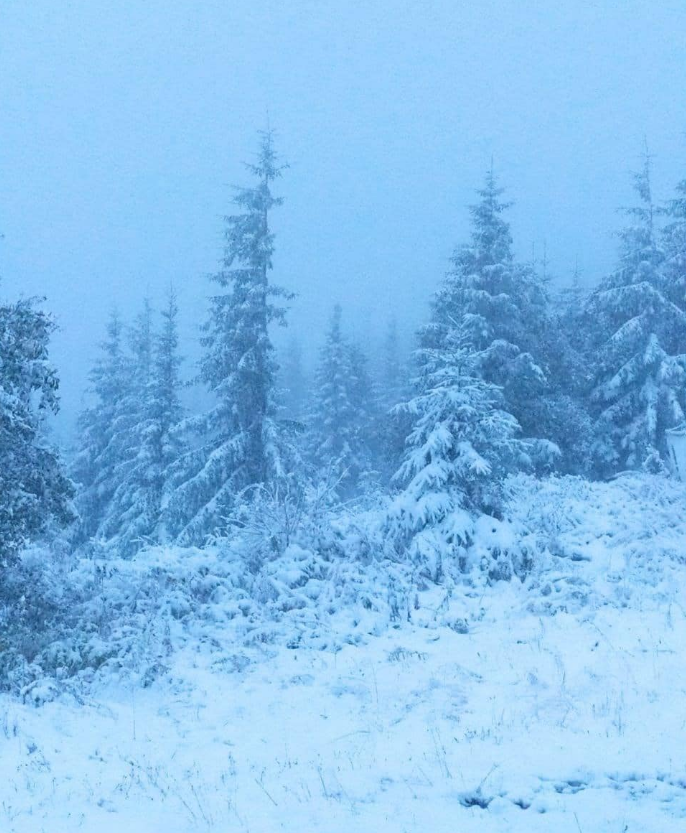 В Украине выпал первый снег: в сети показали фото и видео