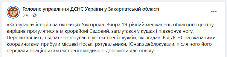 "Закарпатский Рапунцель". В Ужгороде ГСЧС спасала парня, который "запутался в кустах"