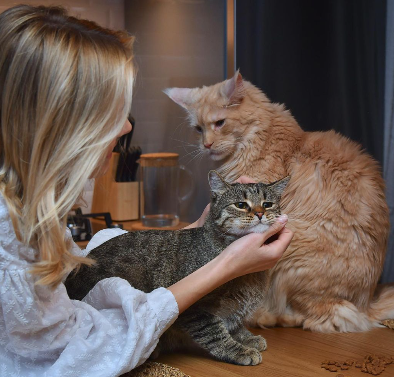 Акторка Кузнецова зізналася, якими &quot;правдами-неправдами&quot; вивозила майно з РФ