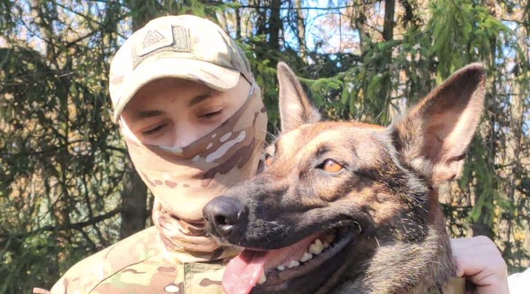 По этой истории можно снимать фильм: защитник &quot;Азовсталь&quot; спас из Мариуполя свою собаку