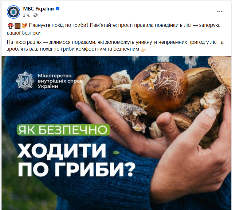 Як збирати гриби безпечно під час війни: поради МВС