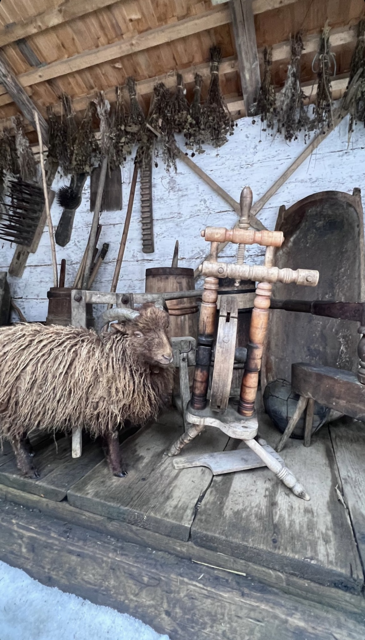 Мишина в Таиланде, Кароль - в Буковеле: где отдыхают украинские звезды на новогодние праздники