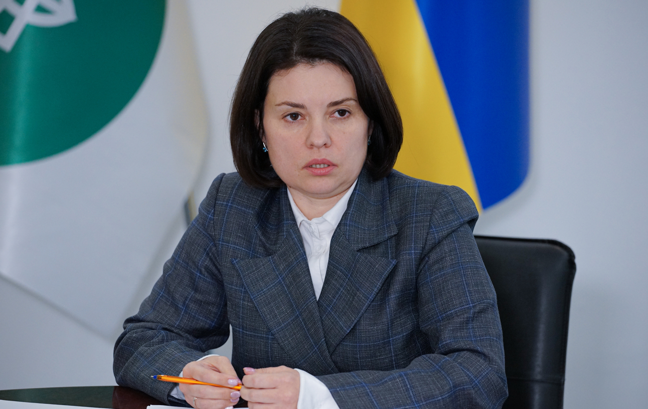 Схеми бізнесу через ФОПи мають масштабний характер: інтерв’ю з Лесею Карнаух, ДПС