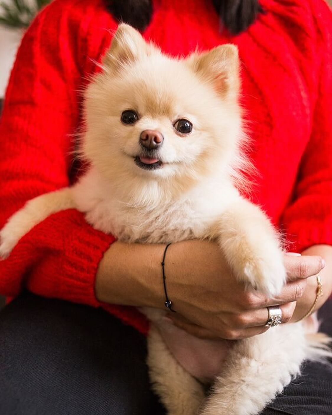 Джамала сообщила печальную новость: &quot;Спасибо, что была нашей семьей&quot;