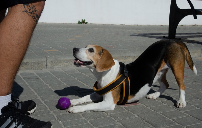 &quot;Путіну люди не потрібні&quot;. Як війна змінила Одесу і чим живе місто біля моря