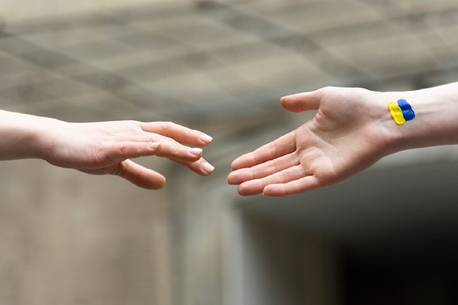 20 идей для празднования Дня Независимости с семьей или друзьями