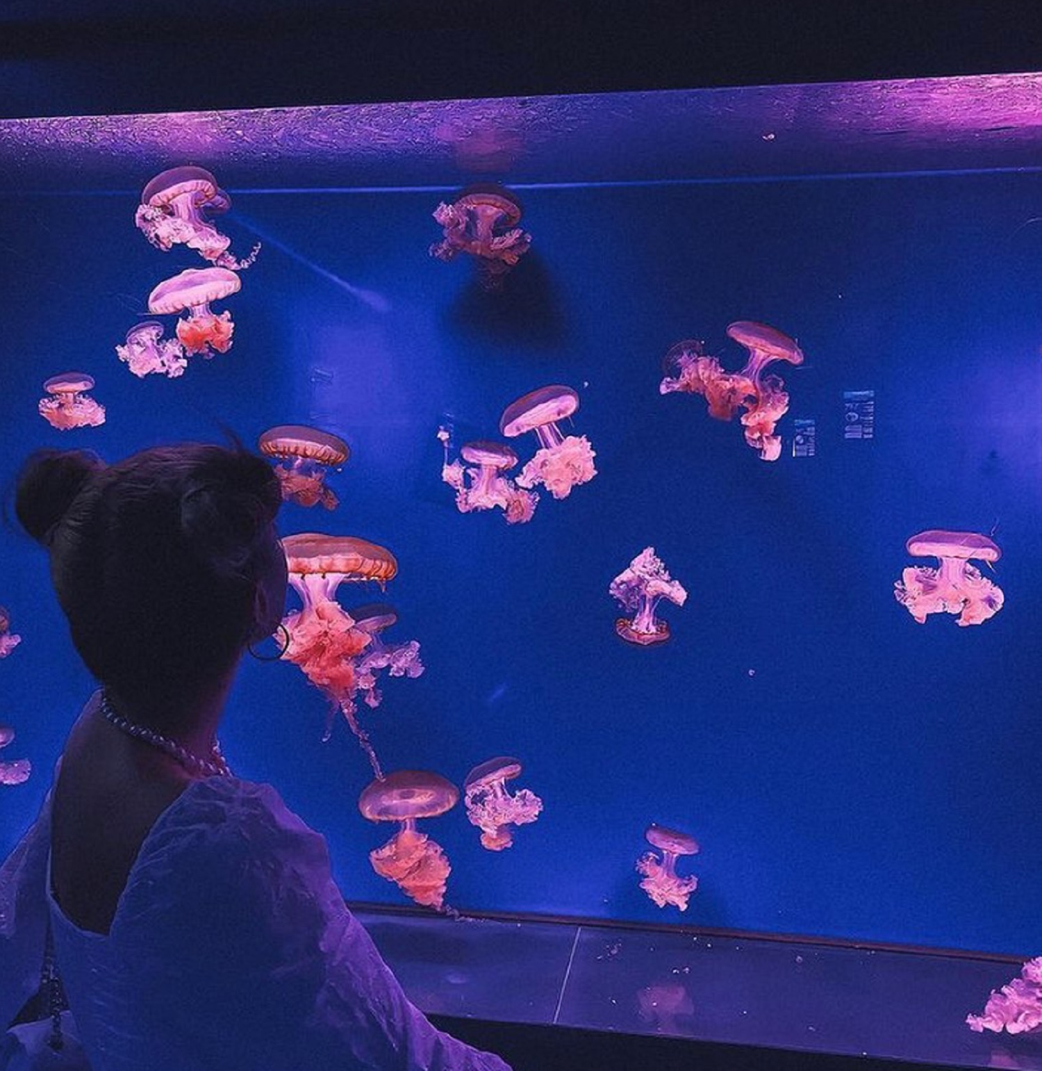 Куди піти на вихідних? Ці 6 незвичайних музеїв Києва вас дійсно вразять