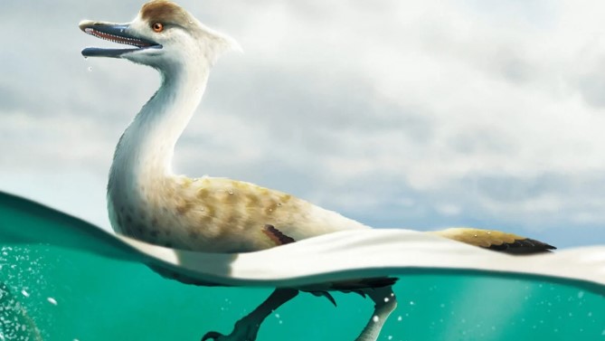 Вчені знайшли новий вид динозаврів: як виглядала доісторична тварина