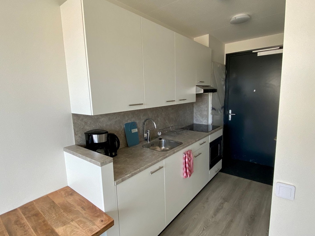 Село &quot;Мрия&quot;. Для беженцев в Нидерландах построили квартал отдельных квартир