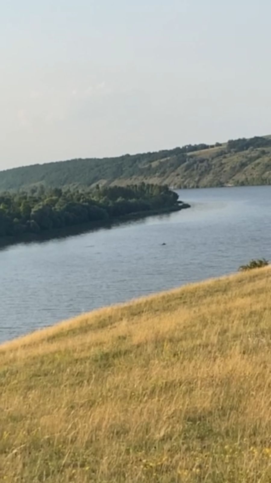 Пограничники задержали двух мужчин, которые на матраце бежали в Молдову