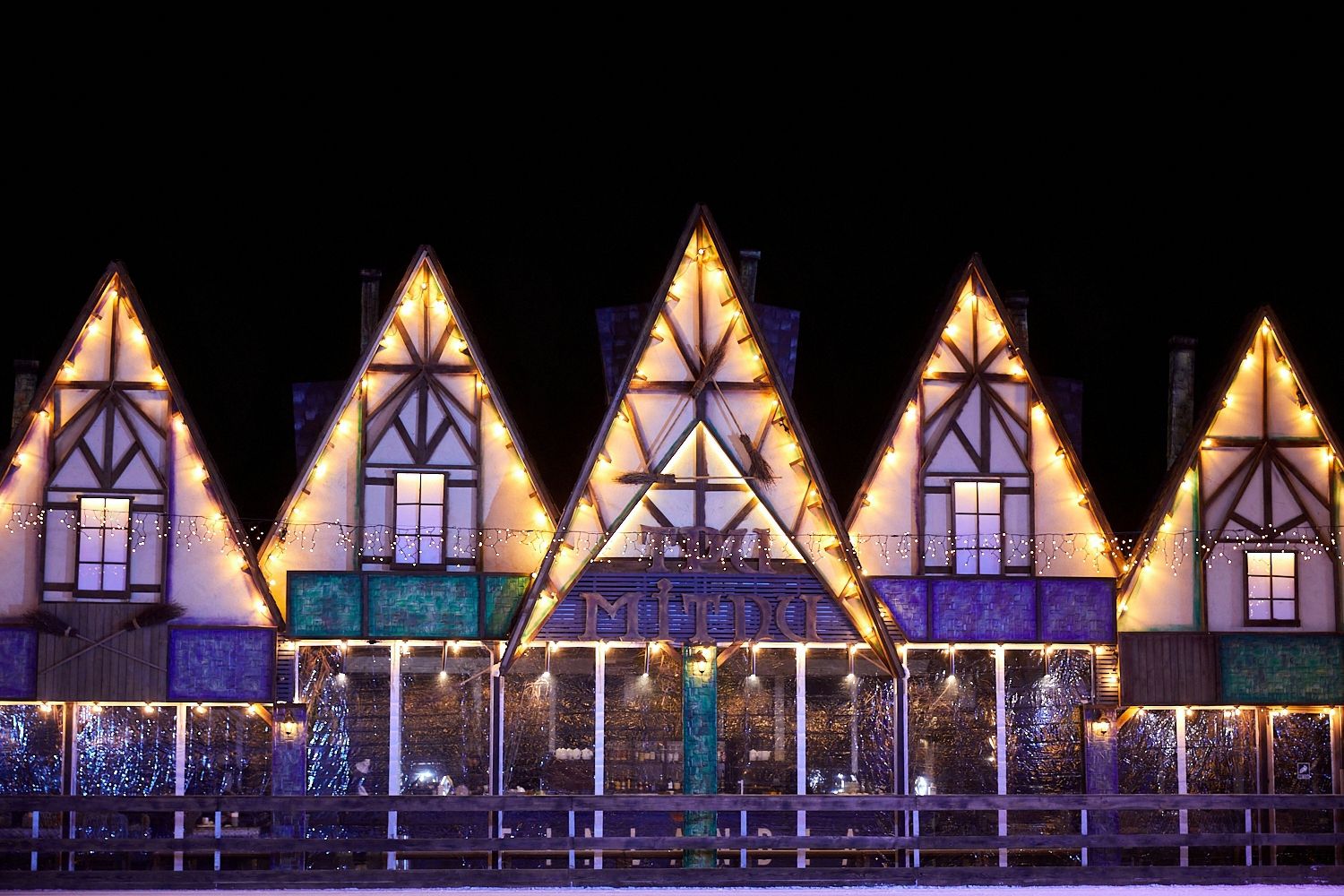 В Киеве покажут уникальное ледовое действо с героями киносаги о фантастических зверях