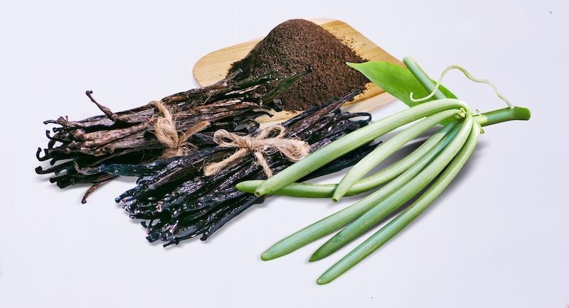 Ваниль - не только ароматная специя, но и очень пахучая орхидея: как вырастить ее дома