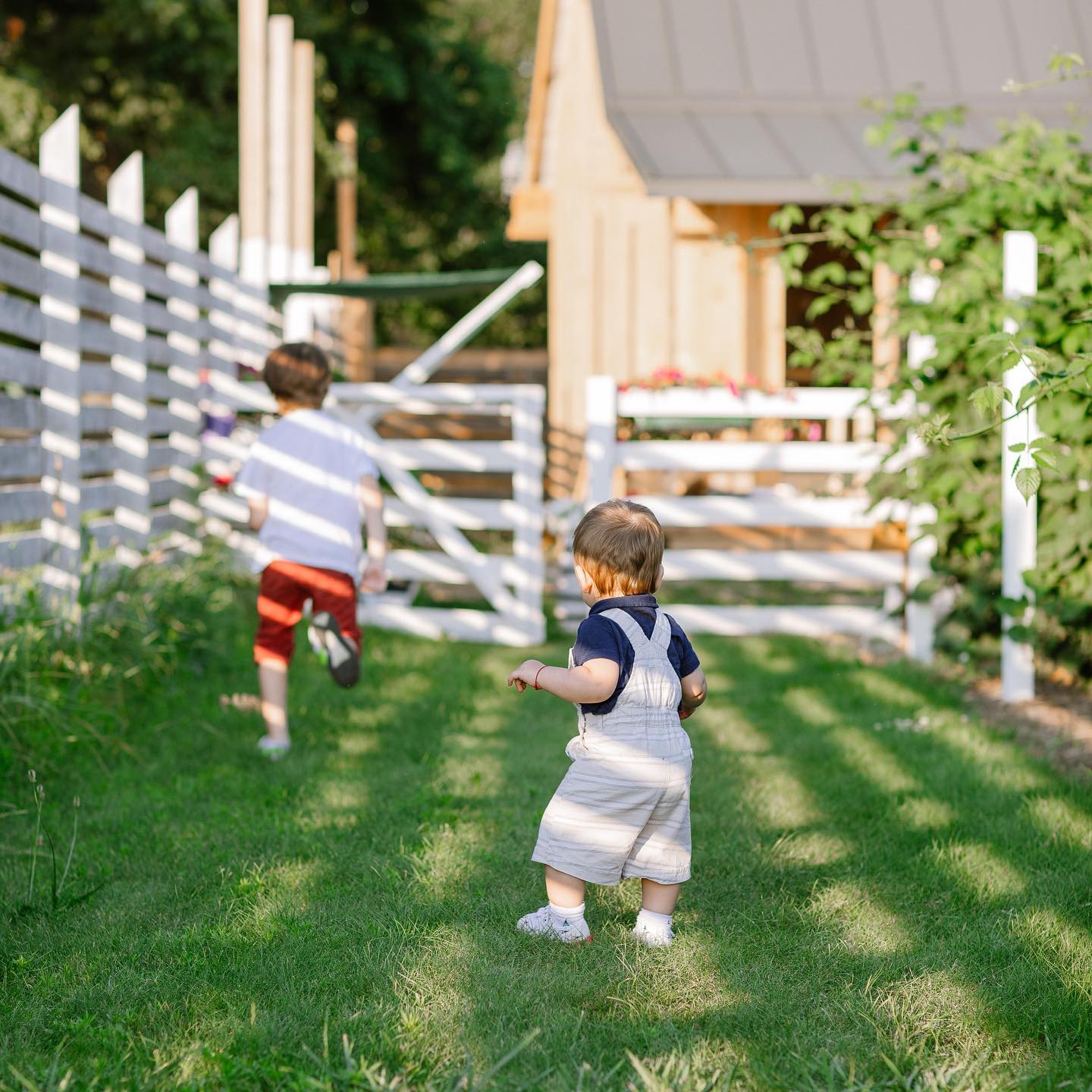 Море ягід. Куди поїхати на відпочинок і збирання полуниці за містом