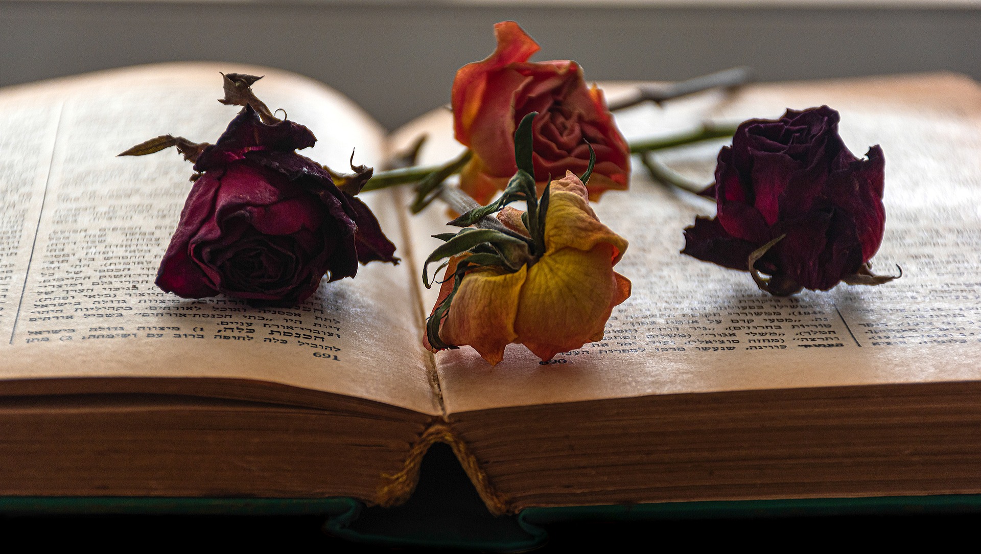 Як правильно засушити красиве листя на пам'ять про осінь та для декору