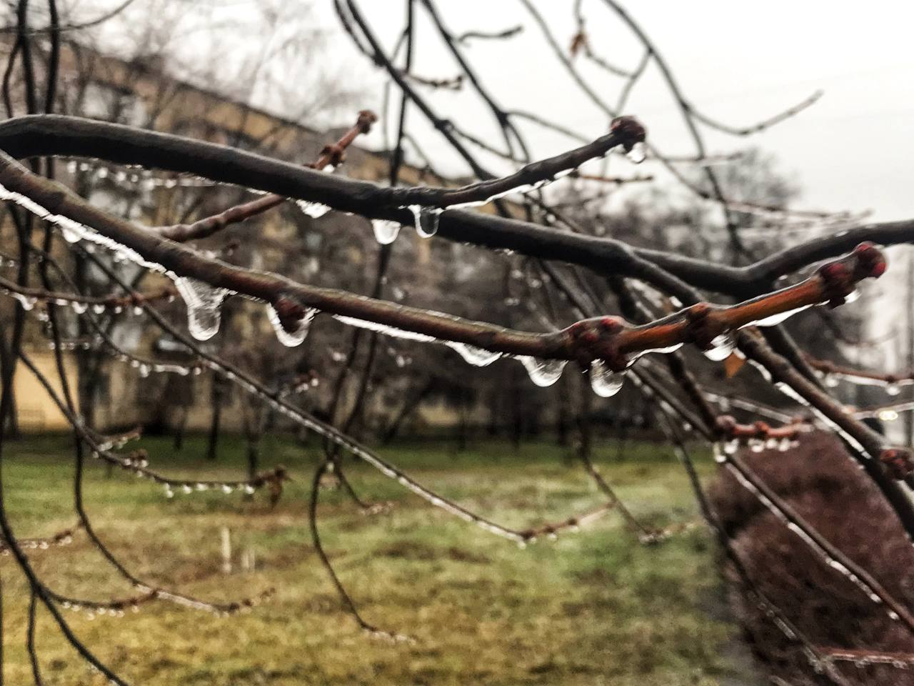 Київ накриває крижаним дощем: яскраві фото замерзаючої столиці