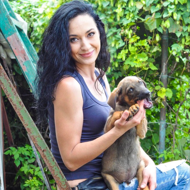 &quot;Если умирать - то всем вместе. Но своих не брошу&quot;. Как во время войны выживает приют для животных в Днепре