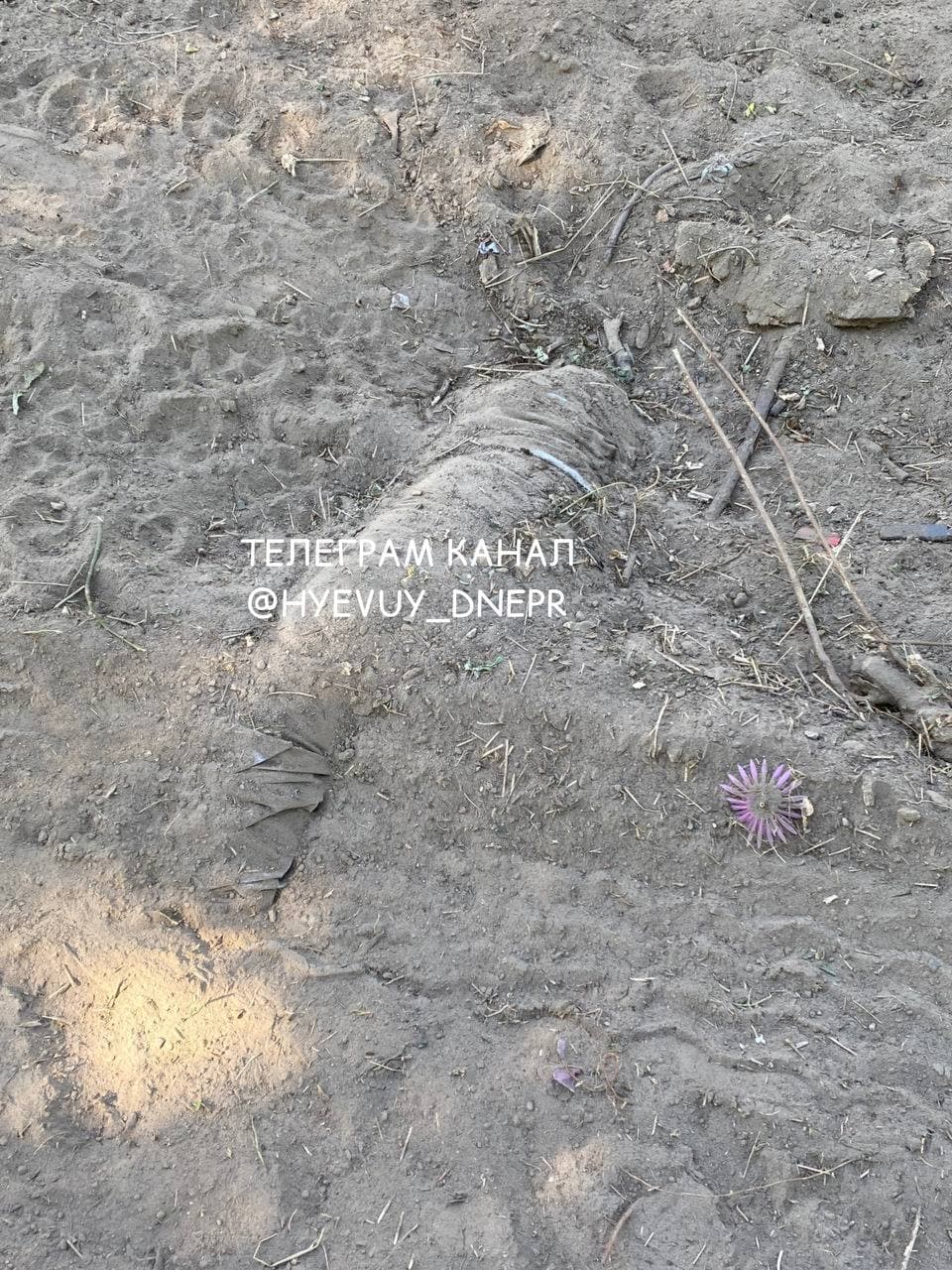 У Дніпрі зруйнували кладовище для домашніх тварин: частини тіл виглядають із землі (фото)