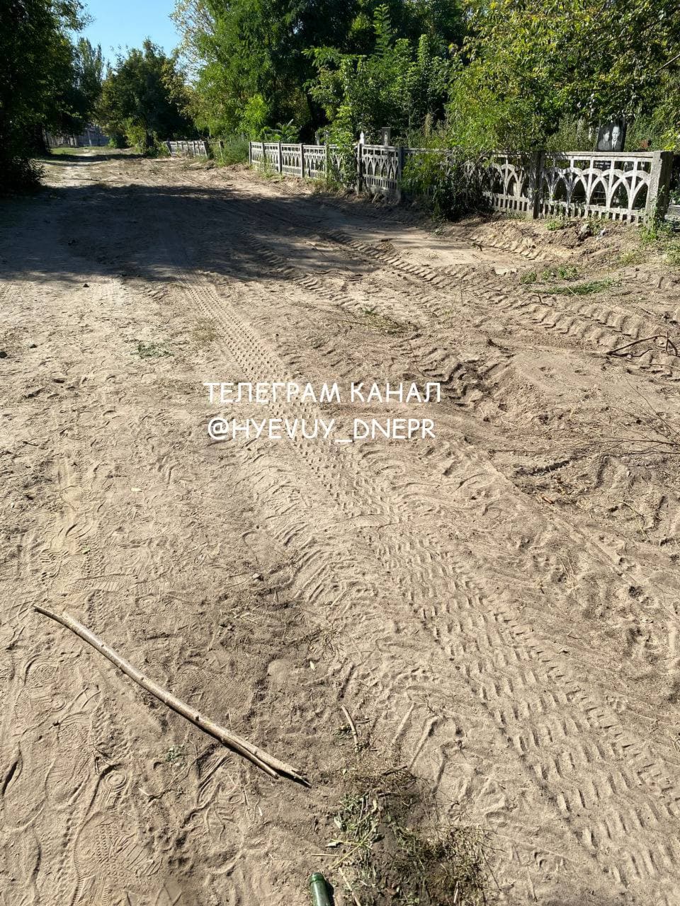 У Дніпрі зруйнували кладовище для домашніх тварин: частини тіл виглядають із землі (фото)