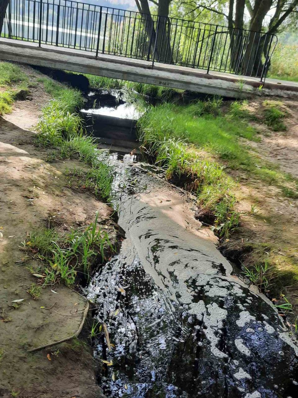 Тяжелые металлы и химия: в Хмельницком свалка сильно загрязняет воду в озере (фото)