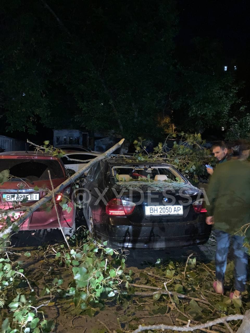 В Одесі дерево впало на припарковані машини та розчавило сім авто (фото)