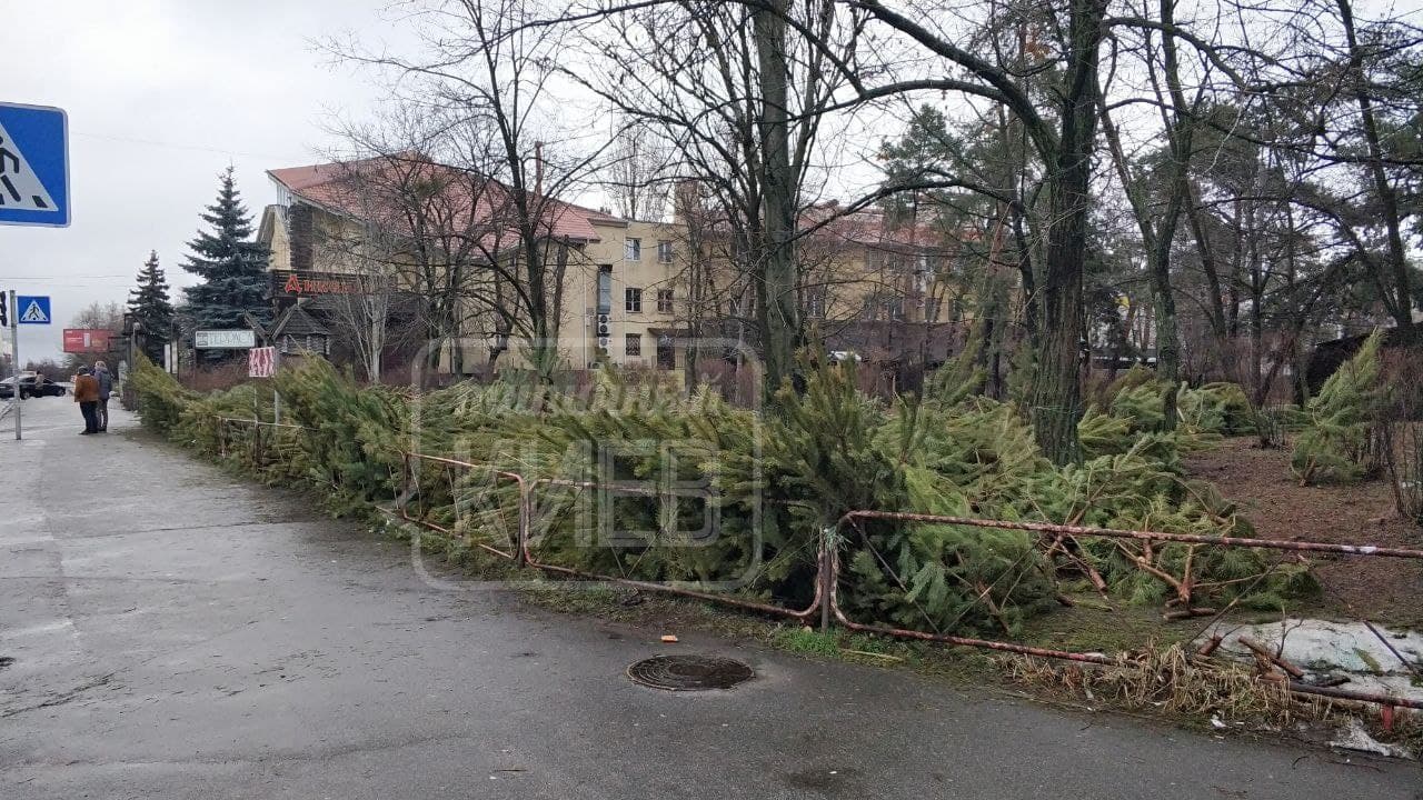 В Киеве продавцы оставили гору нераспроданных дорогущих елок просто на улице (фото)