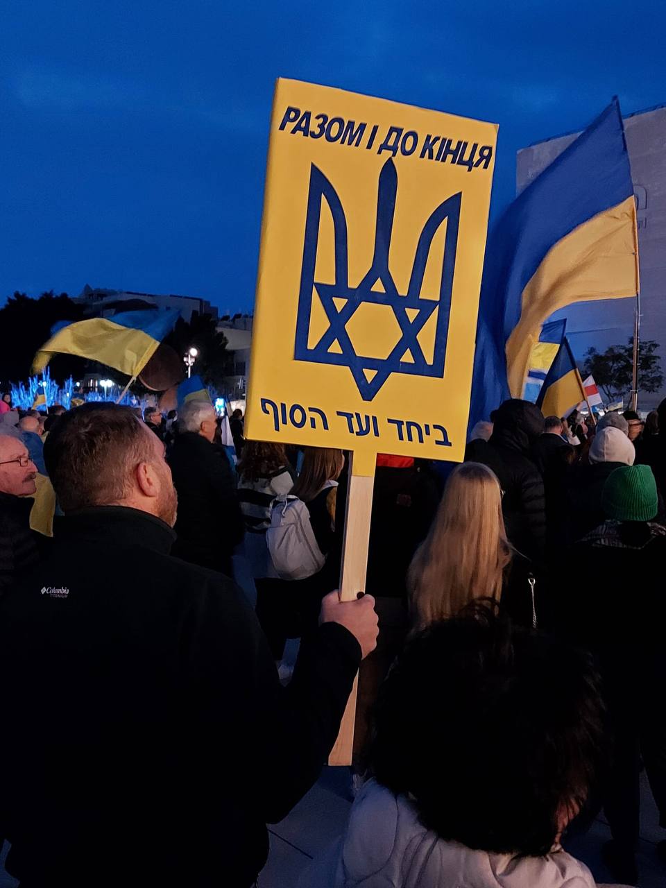 Волонтер из Израиля Анна Жарова: Наша страна может делать больше для Украины