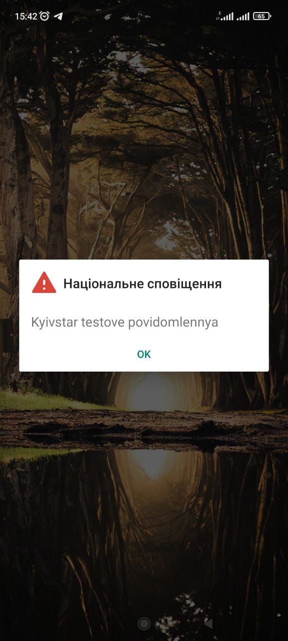 В Украине запускают систему оповещения, где сообщения будут выводиться на экран телефона