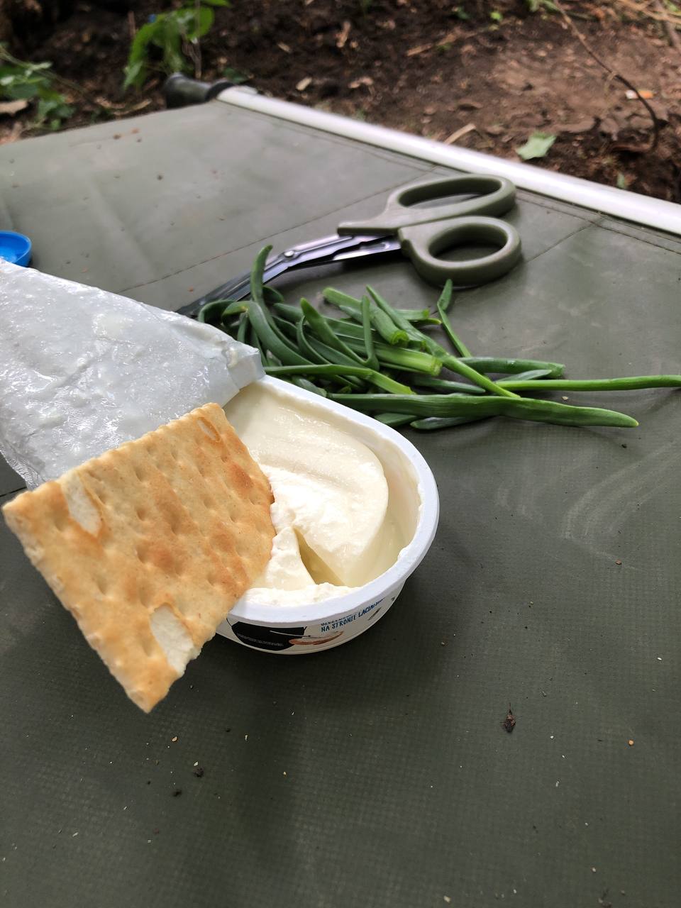 Дай українцю землю - він буде саджати: парамедик виростив на фронті цибулю та поділився фото