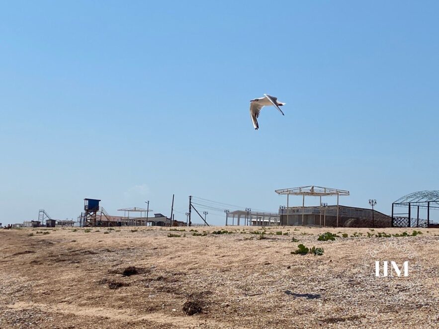 "Мертвый сезон" на Арабатской стрелке: пустые пляжи, чайки и медузы (фото)