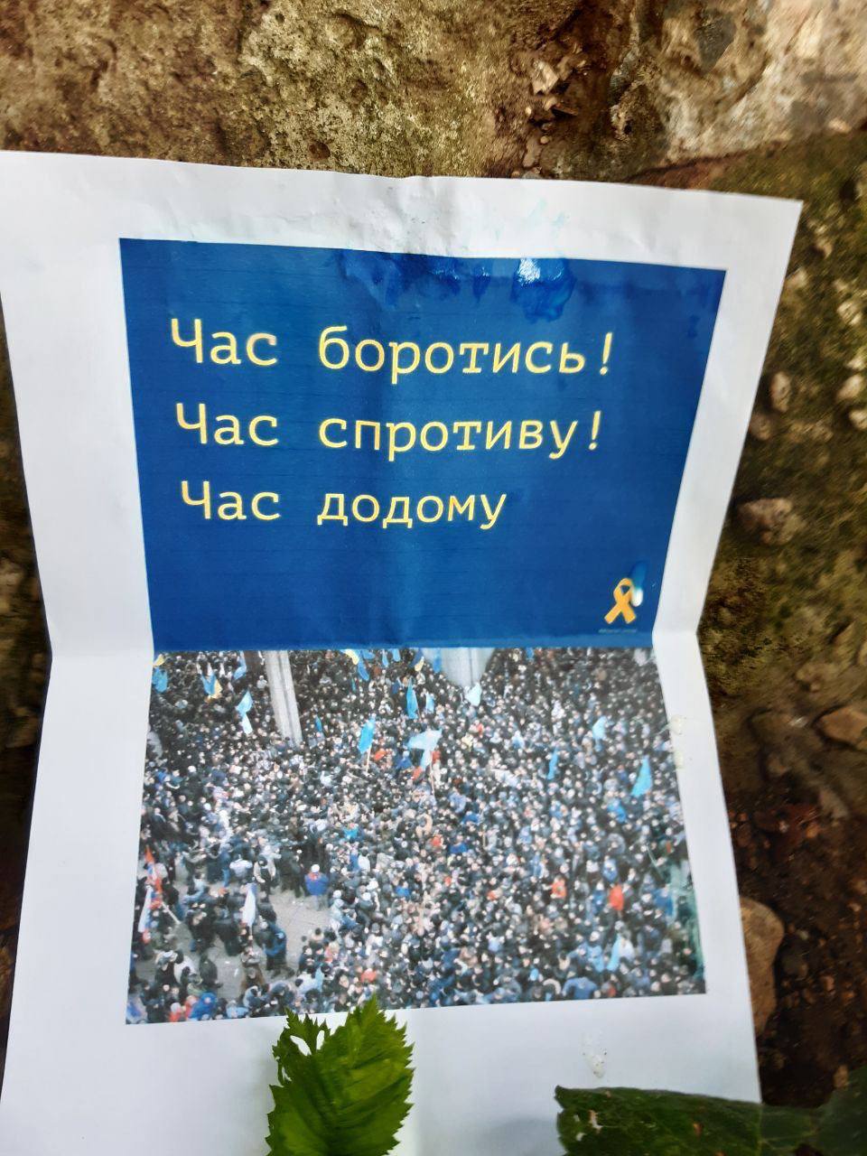 &quot;ВСУ идет&quot;: в Крыму партизаны оставили послание местным жителям (фото)