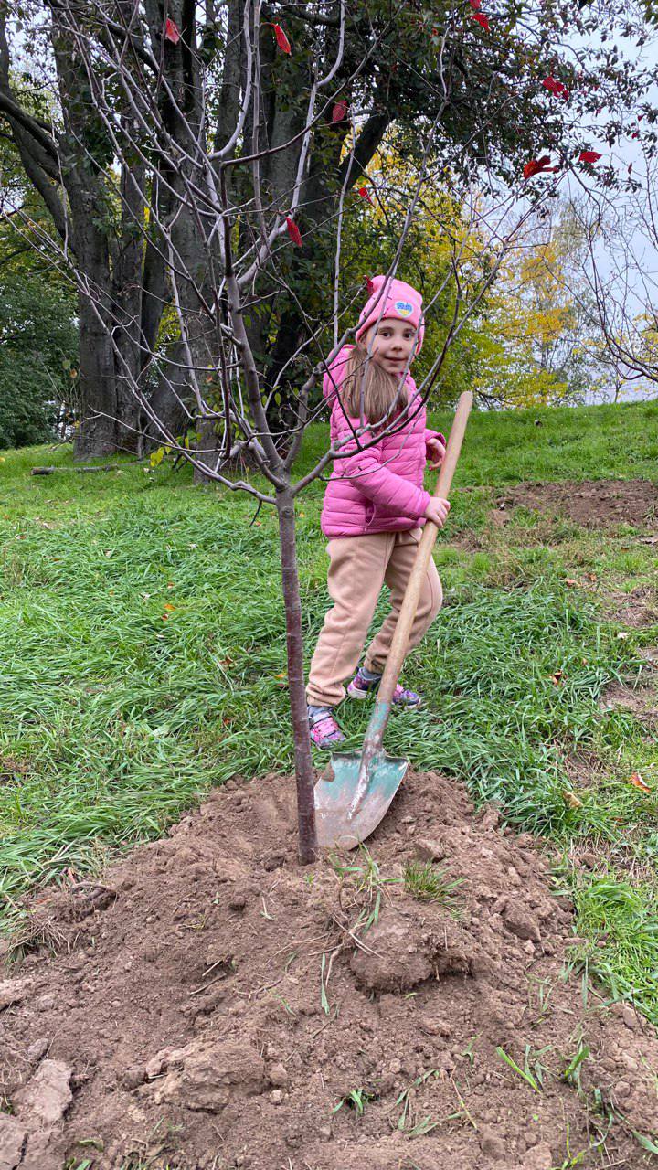 У київському ботсаду висадили Алею захисників і захисниць України (фото)