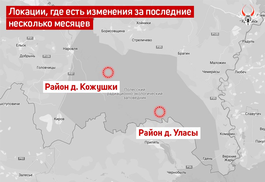 Стало відомо, звідки з Білорусі можуть запускати дрони-камікадзе