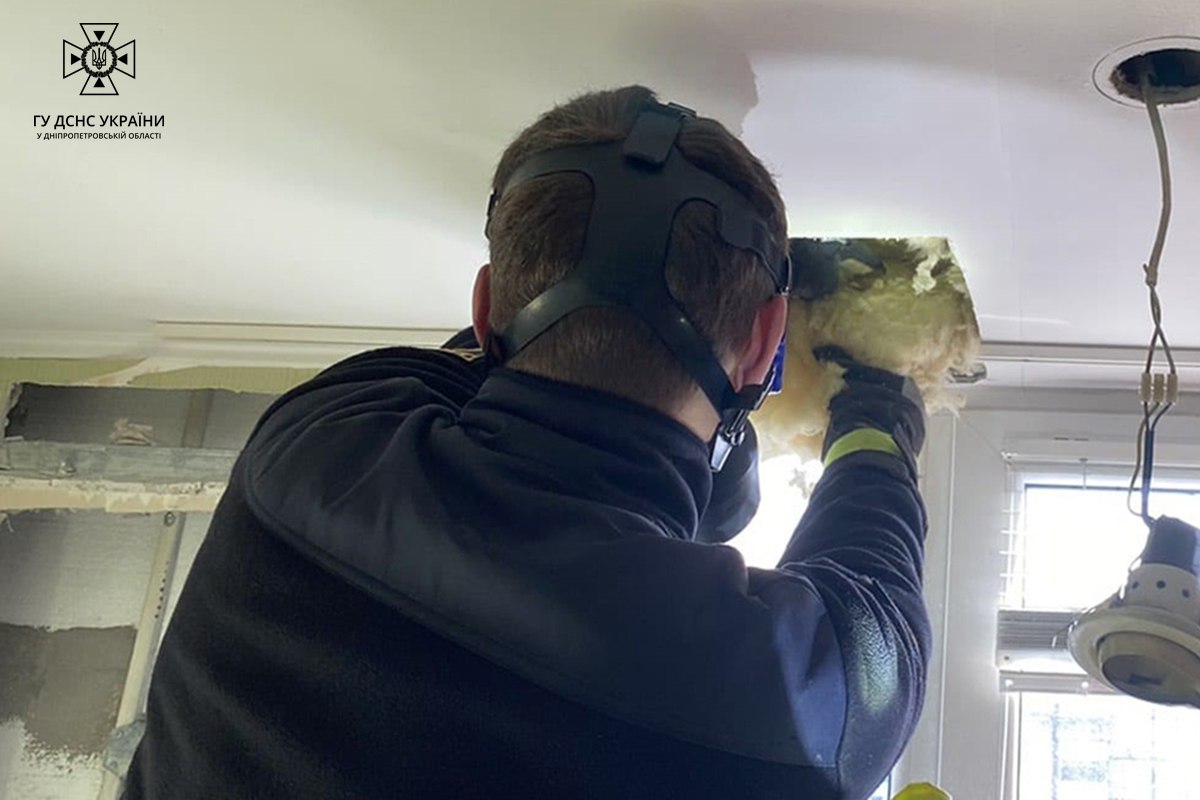 В Днепре на балконе квартиры обнаружили 140 незваных &quot;гостей&quot;: фото неожиданной находки