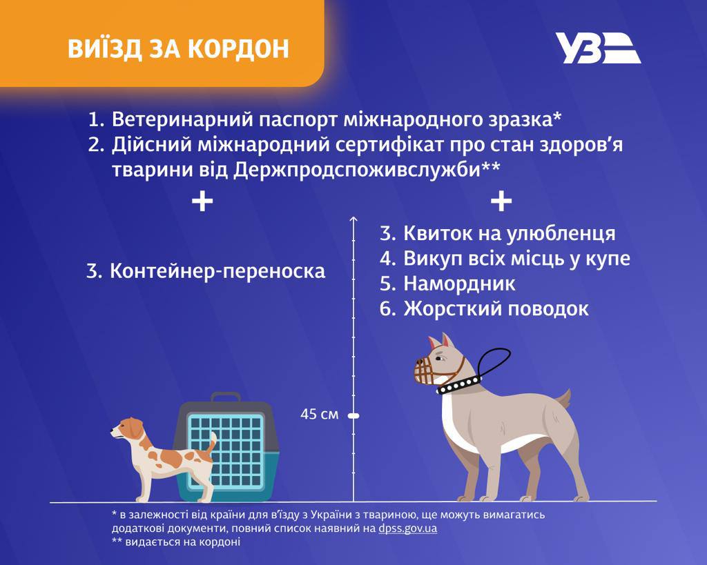 Подорож поїздом за кордон із чотирилапим: які вимоги ЄС мають знати українці
