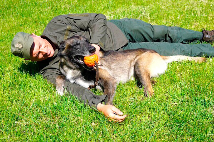 &quot;Больше, чем просто друг&quot;. История служебной собаки из Мариуполя, нашедшей более 1 000 боеприпасов (фото)