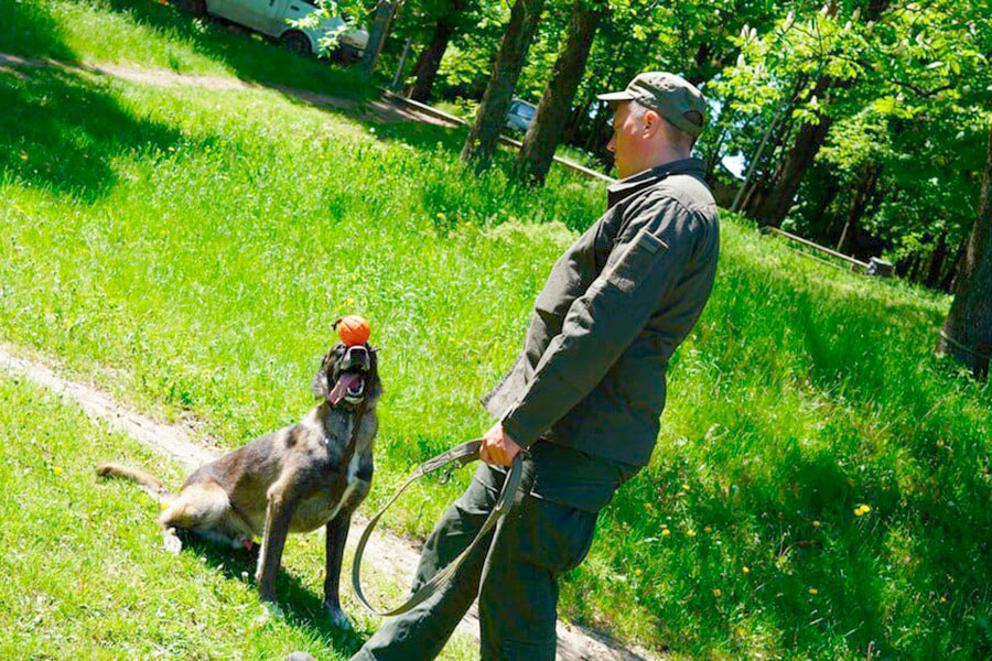 &quot;Больше, чем просто друг&quot;. История служебной собаки из Мариуполя, нашедшей более 1 000 боеприпасов (фото)