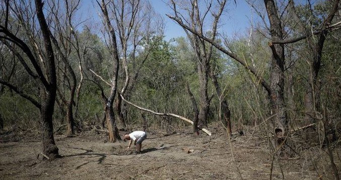 Drone wreckage found in Romania again after Russian attack on Ukraine
