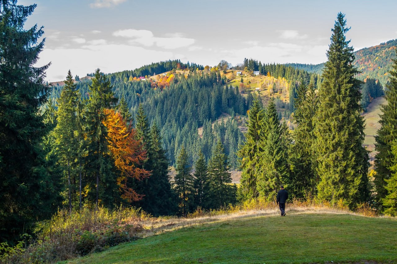Новые направления и культура: названы главные туристические тренды будущего