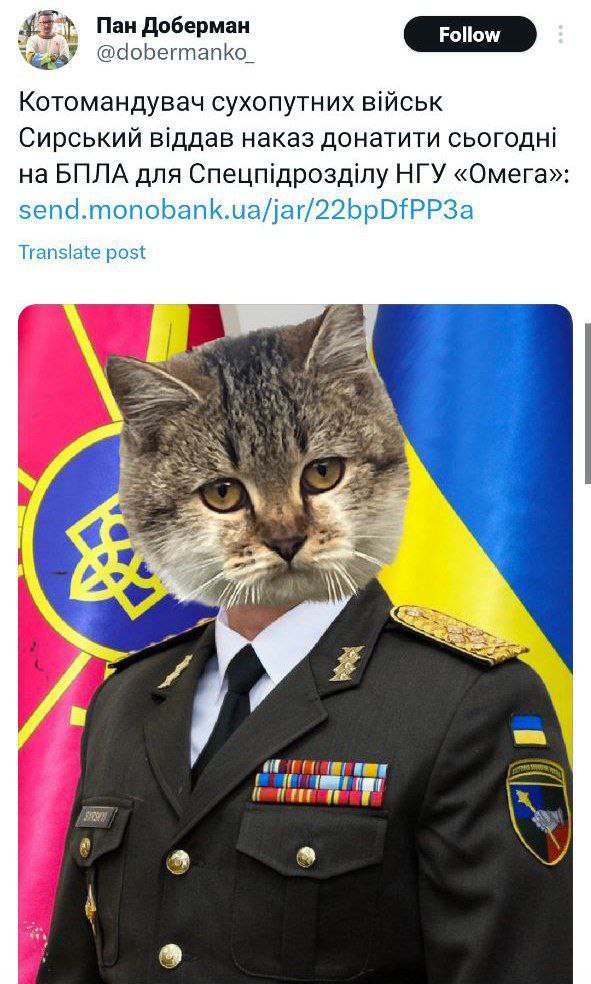 Чому Сирського зображають котом, а дехто називає &quot;м'ясником&quot;