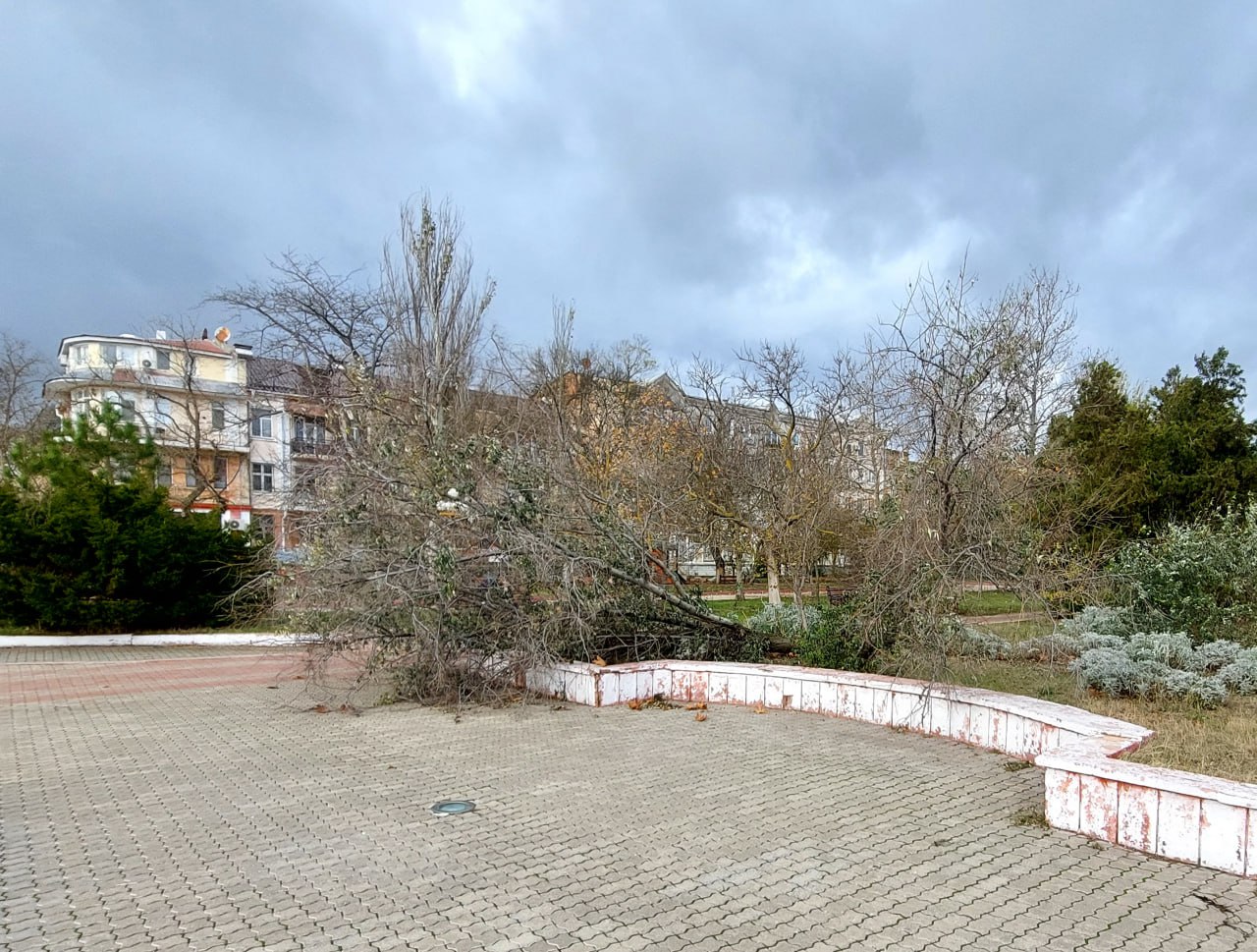 Море виходить із берегів: у Криму вирує &quot;шторм століття&quot;, змиваючи все на своєму шляху (фото, відео)