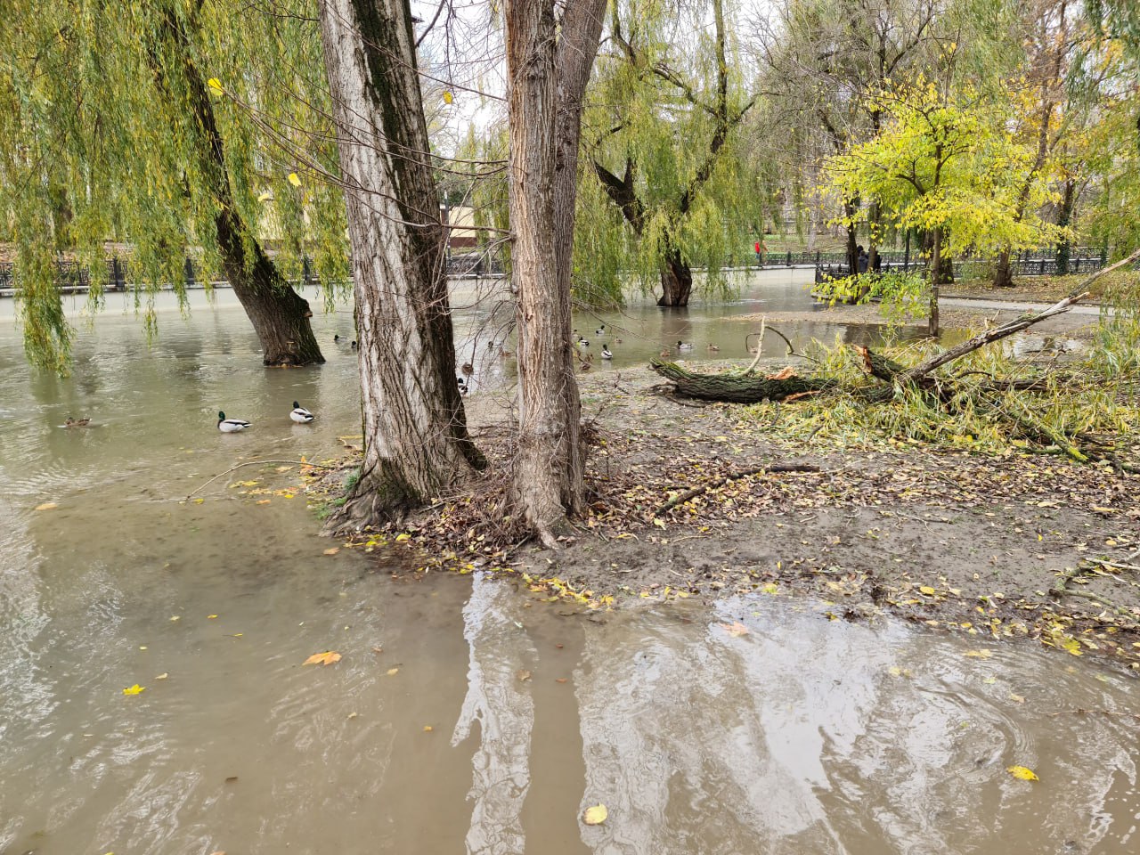 Море виходить із берегів: у Криму вирує &quot;шторм століття&quot;, змиваючи все на своєму шляху (фото, відео)