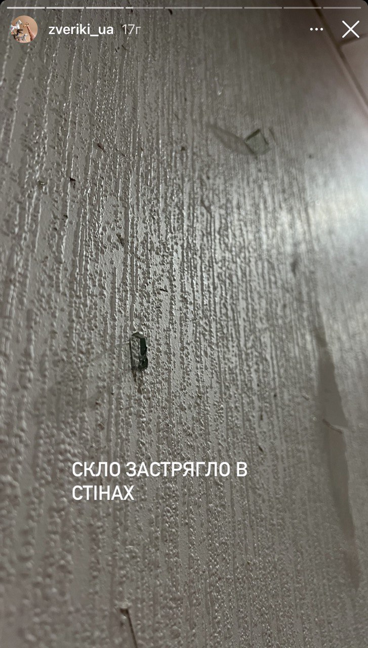 &quot;Скло застрягло в стінах&quot;: мешканка Харкова показала розгромлену квартиру після обстрілу РФ (відео)