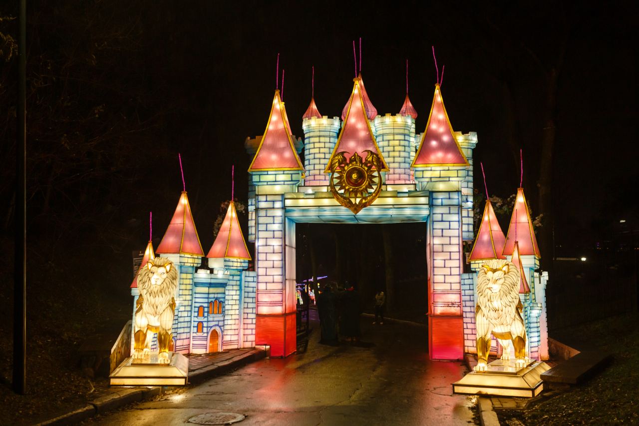 Соціальний день на фестивалі ліхтарів Lights&Dreams: хто може пройти безкоштовно