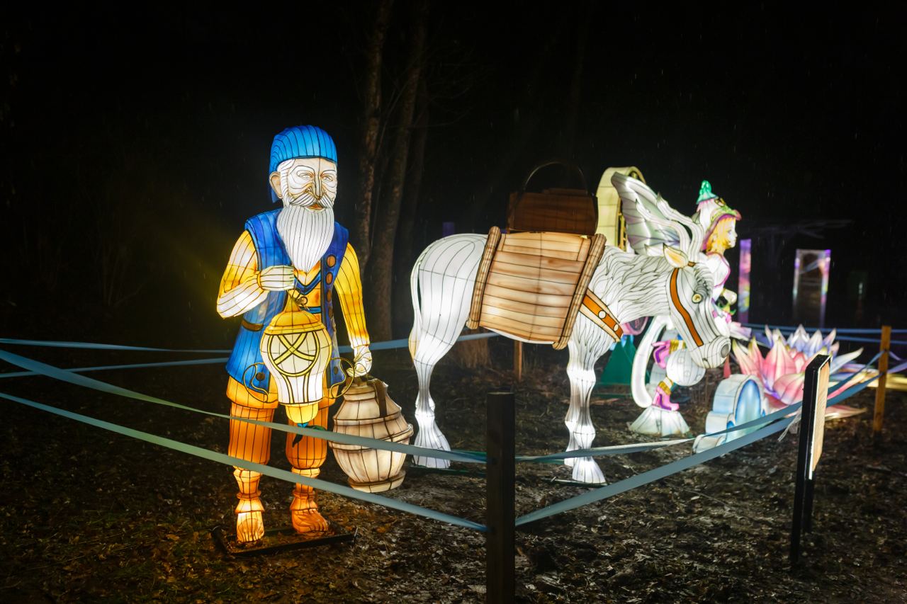 Соціальний день на фестивалі ліхтарів Lights&Dreams: хто може пройти безкоштовно