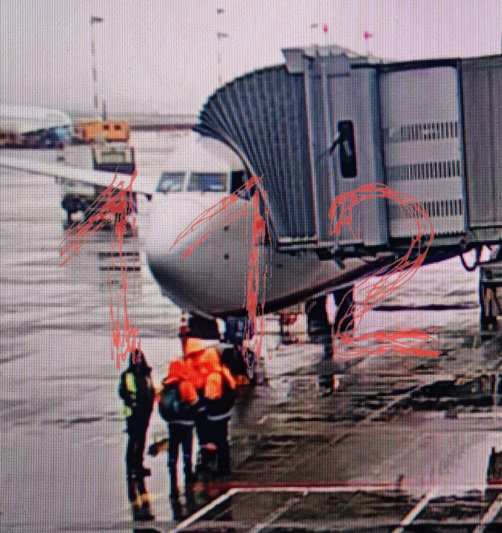 Пасажирка в аеропорту "Шереметьєво" в Москві на борт літака пронесла бомбу, - ЗМІ