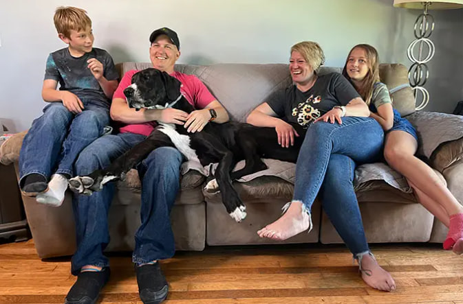 Як виглядає найвищий у світі пес із Книги рекордів Гіннеса: вражаючі фото